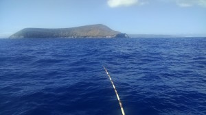 Fishing Pole View