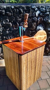 Beer Kegerator