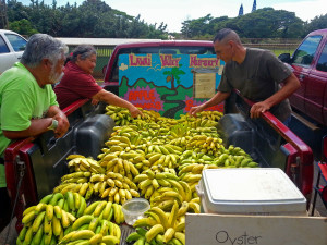 Koloa Farmer’s Market Bananas