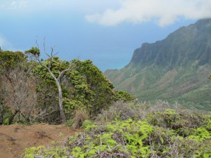 Kalalau Rim Hike