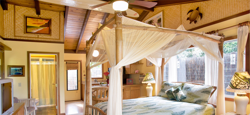 Queen bamboo canopy bed