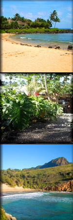 Kauai Cove Cottages and vacation rentals, Poipu, Kauai