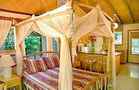 The Plumeria Room - a Kauai Cove Cottage in Poipu